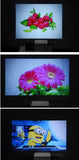 Salange YG300 Mini LED Projector
